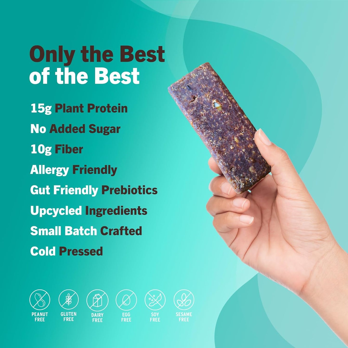 Amrita Nut Free Vegan Protein Bars 6 Flavor Variety Pack (12 Count)